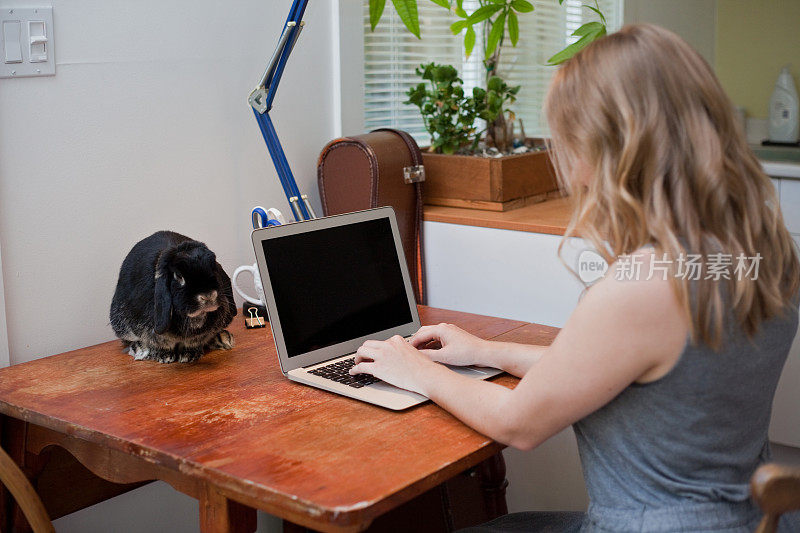 Millennial Pet Owner Works on Laptop